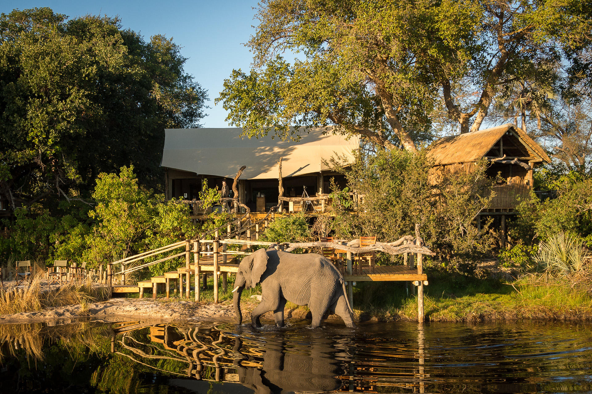 Little Tubu Camp thumbnail 6